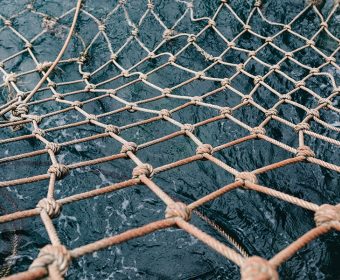 Can Fisheries Ever Be Sustainable? | Ask The Expert