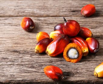 Palm Oil | How It’s Made