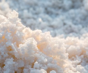 The Science Behind Salt