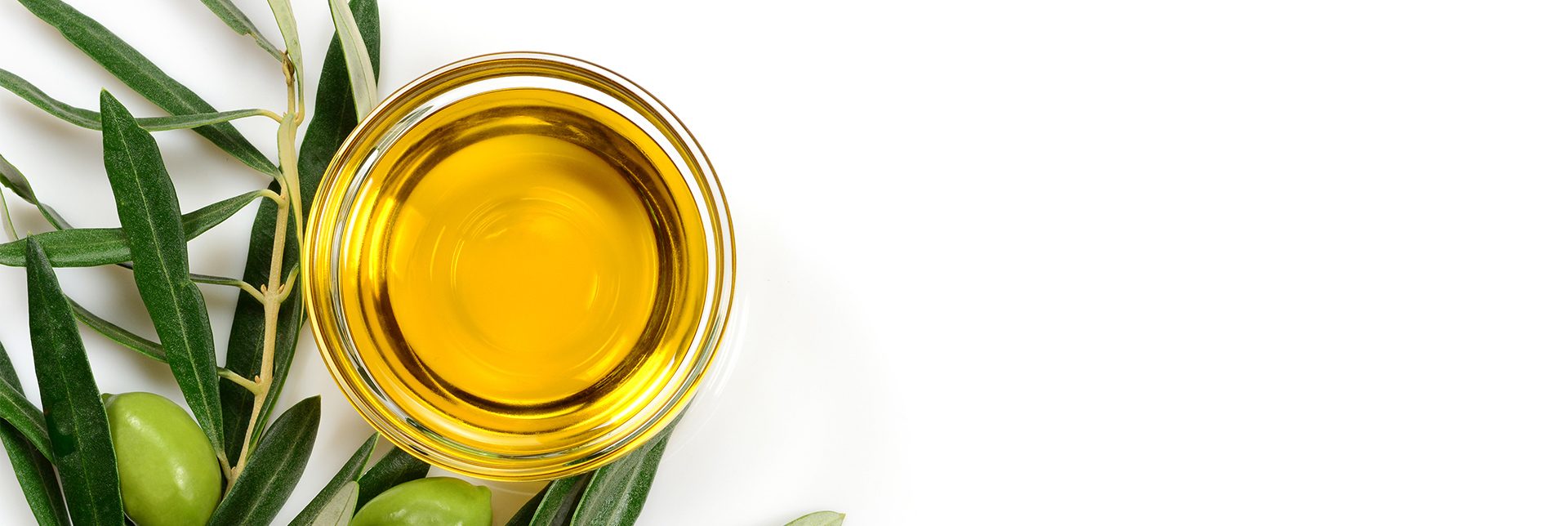 science-of-olive-oil-header.jpg
